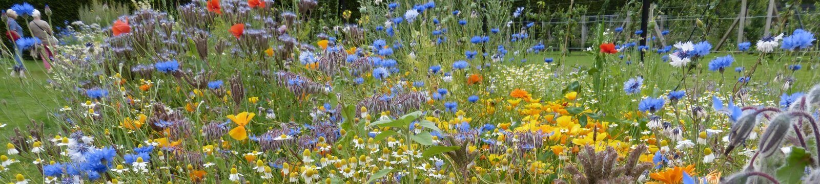 Offenes Singen – Aktueller Flyer